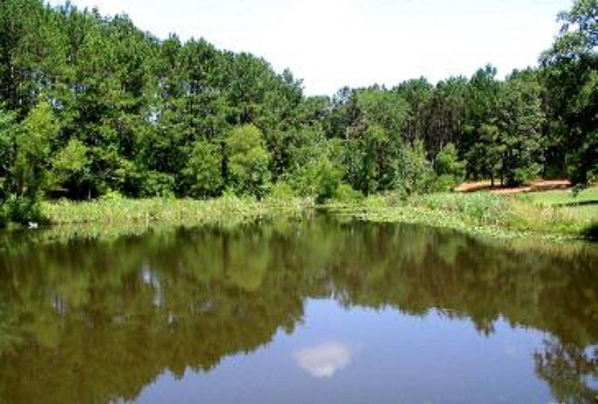 Pine Creek Country Inn Nacogdoches Udogodnienia zdjęcie